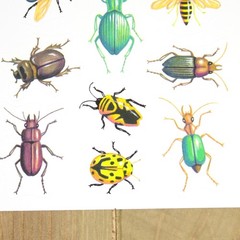 Vintage 1992 Hallmark Expressions Bugs Lady Bugs Beetles Ants Sticker Sheet Y2K