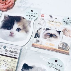 Daiso Japan 6 Packs of Cute Cat Sticker flake seal, Cat face die cut memo