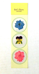 Real Flowers Scrapbook Stickers Floral Blue Yellow Purple Pink Green #17