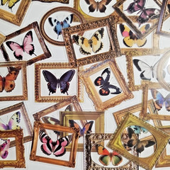 52 Unique Vintage Butterfly Photo Frame Stickers @ 2″x2.5″