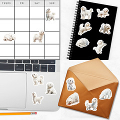 Coton de Tulear Dog Stickers for Journals, Scrapbooks, Planners, Glossy, Matte