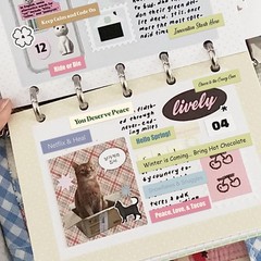 2346PCS Quote Stickers,48 Sheets Scrapbook Supplies Kit Word Stickers for Jou…