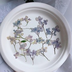 12PCS Pressed Dried Hydrangea Flower, natural pink purple, violet colors FHT32