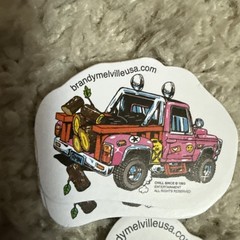 Lot Of 20 Miscellaneous Brandy Melville Stickers