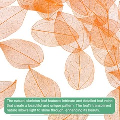 100-Pack Skeleton Leaves, Natural Rubber Tree Leaves Vein[4-6cm, Orange]