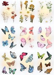 Transparent Flower and Butterfly Stickers for Scrapbooking, Journaling – Vint…