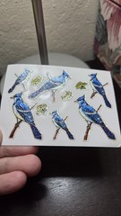 VTG Vending Machine Stickers Holographic Prismatic Birds Rainbow Flower 80s Lot