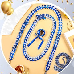 18 Pcs Graduation Leis and Stole and Honor Cords 2026 Braided Necklace Adjust…