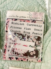 Scarlet Lime Planner Society Planner Tabs & Label Sticker TN Traveler’s Notebook