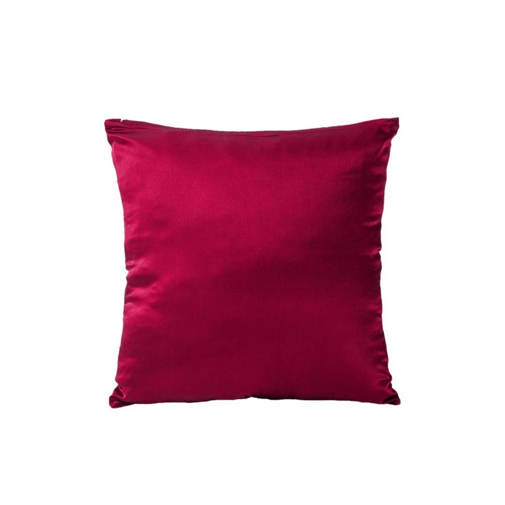 Tim & Tina 100% Pure Mulberry Luxury Silk Satin Pillowcase,Square Decorative …