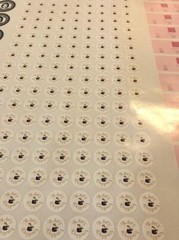 Custom stickers Labels | Die Cut shape Sticker | Product Stickers Label, Vinyl