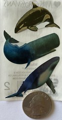 WHALE Photoessence Metallic Foil Stickers(3pc)Mrs.Grossman’s•Orcas•Ocean•Killer•