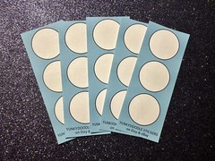Blank Stickers for National Park Passport Stamps- 5 sheets