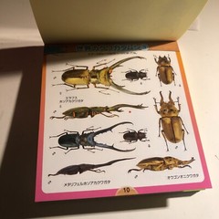 Beetle and Stag Beetle Japanese Stickers book 275 Stickers Shogakkan Neo