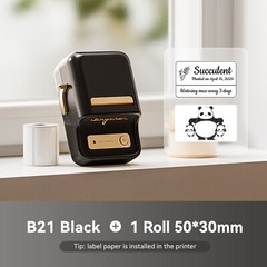 NIIMBOT B21 Label Maker for Envelope Seals Labels Stickers, with 2 inch Label