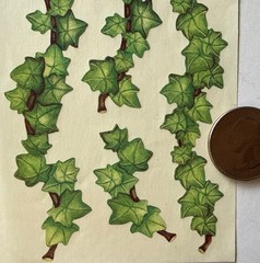GREEN IVY BORDER Stickers (7pc)Climbing•Plant•Garden •Leaves•Outside•Card Making