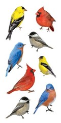 Colorful Birds Stickers Envelope Seals Planner Supply Papercraft Cardinal Crafts
