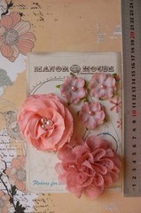 Mixed APRICOT Fabric Organza Lace 5 Flower Pk 3-8cm Manor House