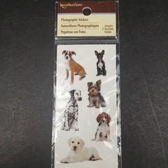 Recollections Photographic Dog Stickers Different Breeds 2 Sheets 4 Mods NEW