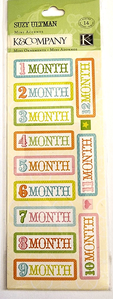 K&Company Suzy Ultman Months Mini Accents Stickers 2009 Planner Scrapbooking New