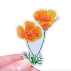 Lot of 5 Weatherproof Vinyl Stickers: Splatter Paint California Poppies