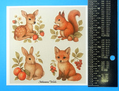 Animals & Fruits Sticker Sheet