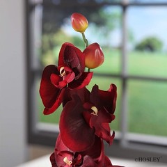 Hosley Artificail Flowers, 6 Pcs Orchid Phalaenopsis Touch Flowers 28Inch Lon…