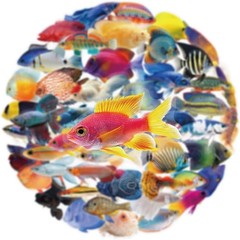 50PCS Clear Tropical Marine Life Ocean Stickers PET Fish Aesthetic Sticker for J