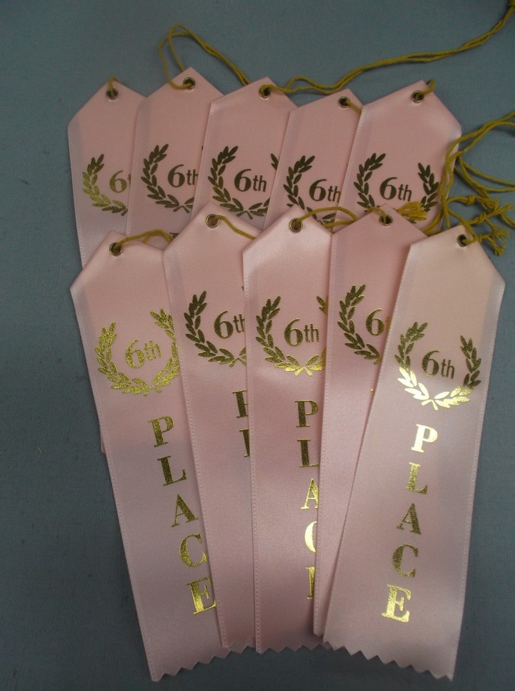 6th Place Award Ribbons – Pack of 10 – Flat Card & String – Classroom Event pink