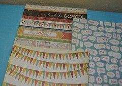 Scrapbooking/Crafting Paper 53 pieces12x12 and 12 pieces of 11.5x 8.5 Paper