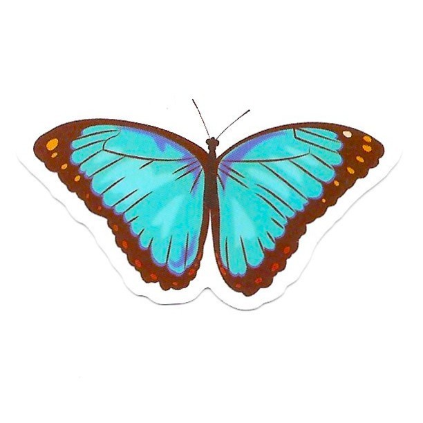 Blue Butterfly Vinyl Sticker Die Cut Teal Insect Decal Nature Journal Scrapbook