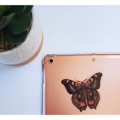 Dark Moth Sticker | For Computers, Journals, Phones | Clear Transparent Vinyl