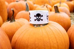 Skull and Crossbones Stickers | 2″ Inches Round – 100 Pack | Pick One Color