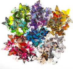 240PCS Butterfly Stickers, PET Waterproof Transparent Colorful Resin Decals Deco