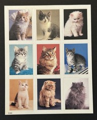 Vintage American Greetings CATS / KITTENS Stickers 1 Sheet
