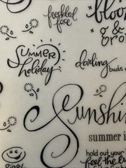BLOOM & GROW Rub-On Transfers(4-1/2”x 7-3/4”) Sunshine•Summer•Garden•Card Making