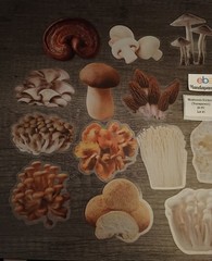 Mushroom Stickers Transparent Edges Lot #1 – 25 pcs. *Sticker sizes are mixed*