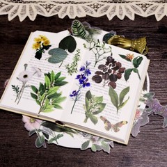 50pcs/Pack leaves stickers leaf plant and animal vellum stickers T03