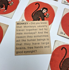 Vintage Animal Stickers African Safari Lion Monkey Crocodile