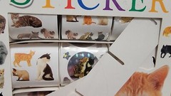 VTG Cat Kitten Stickers Playing Sitting Licking Vibrant Holographic 200+ NOS