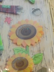Harvest Adhesive Stickers Glitter Googley Eyes