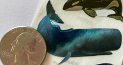 WHALE Photoessence Metallic Foil Stickers(3pc)Mrs.Grossman’s•Orcas•Ocean•Killer•