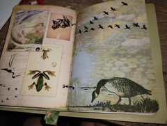 Pond Life Junk Journal Scrapbook USA Seller