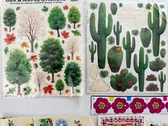 Vintage and New Stickers For Scrapbooking or Crafts 7 Pks 1 Free