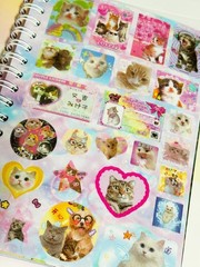 Cat Sticker Book, 30 Pages Over 800 Cute Die Cut Stickers with 3 Style 1
