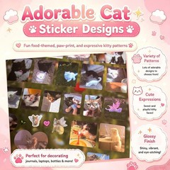 Cat Sticker Book, 30 Pages Over 800 + 10pcs Creative Kawaii Style 1