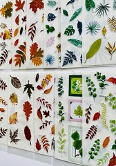199+ Stickers Green Leaves Plants Fresh Forest Flower Bird Butterfly Cactus Tree