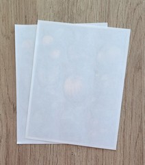 Hallmark Ambassador Vtg Fruit & Berry Fall Themed Stickers – 2 Sheets