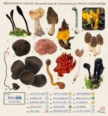 Mushrooms Stickers Book 238 Stickers Shogakkan Encyclopedia NEO Japan NEW