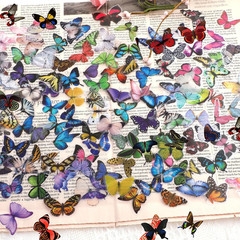 Butterfly Stickers Waterproof PET Decals for Scrapbooking Journals Planners